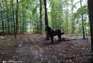 IMG_20201013_094939.jpg
