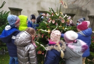 IMG_20211124_104803.jpg