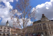 IMG_20220411_123841.jpg