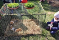 IMG_20230404_102551.jpg