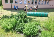 20230616_121216.jpg