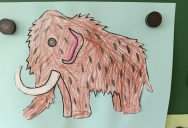 e3fc7357-f9fe-44df-98f7-91edd359767f (1).jpg