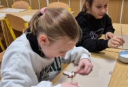 96c98ed7-cd9a-41b1-9919-e8278bcaad55 (1).jpg